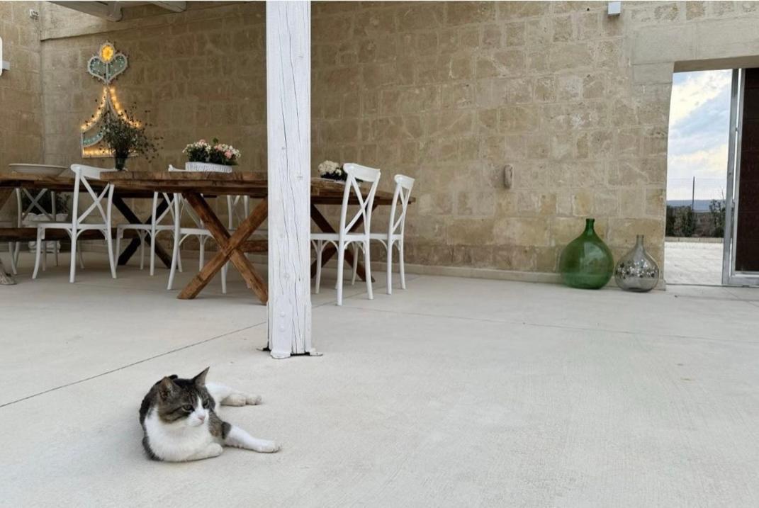 Masseria Spiga Gravina in Puglia Exterior foto